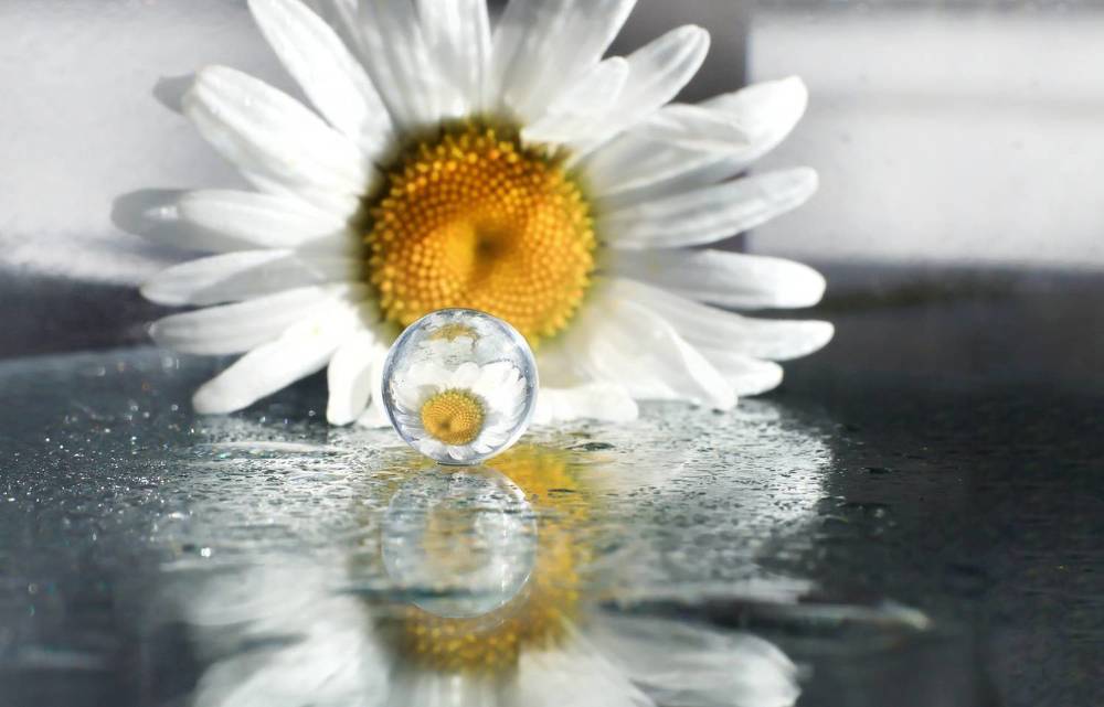 Photograph by Olga Asson