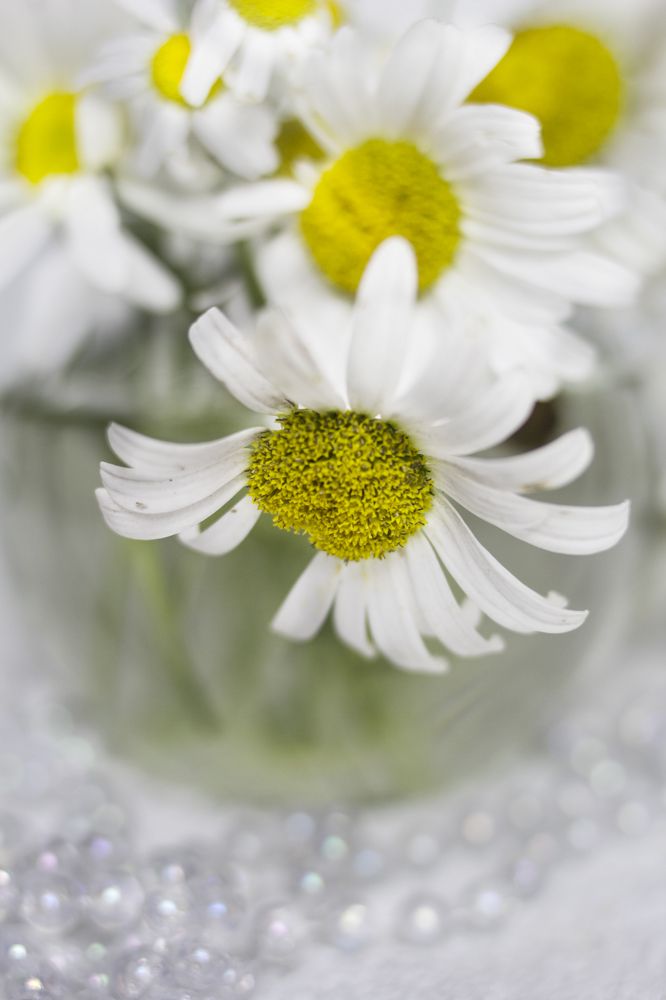 Photograph by Татьяна Шахматова