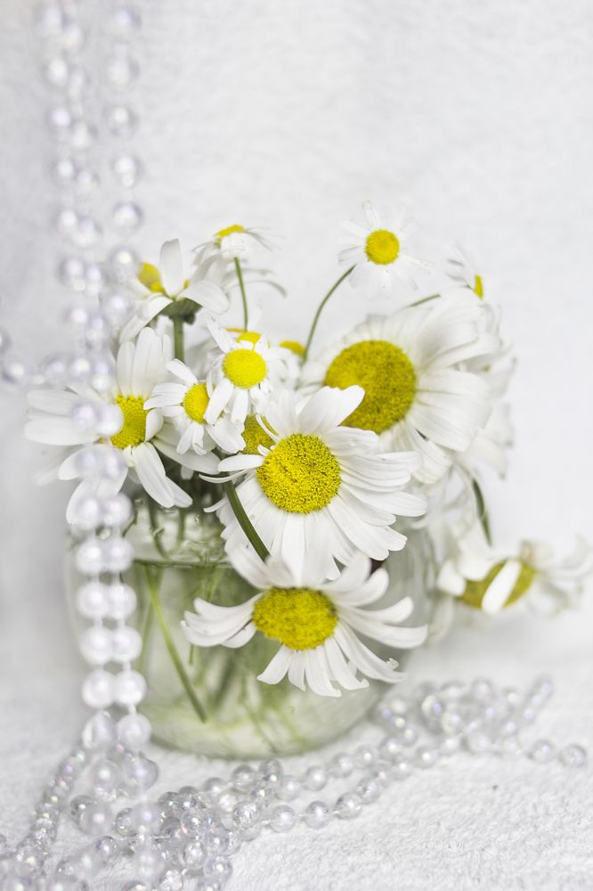 Photograph by Татьяна Шахматова