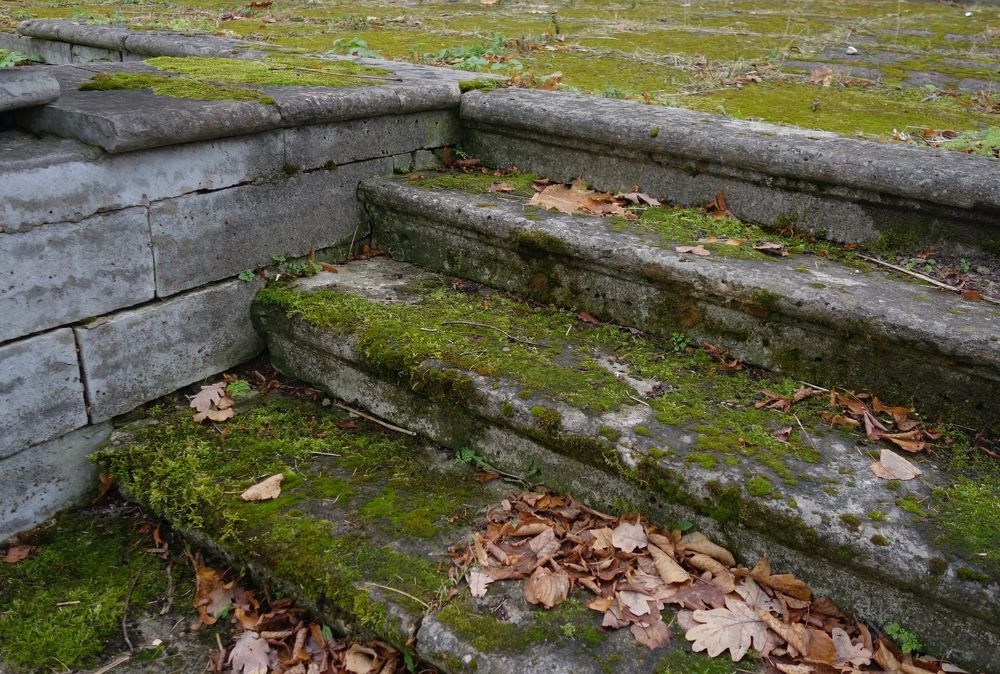 Photograph by Елена Жукова