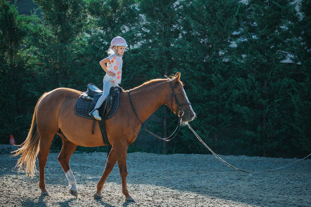 Photograph by Павел Мацепуро