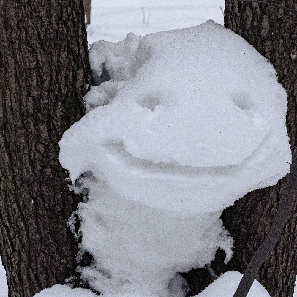 Фотография автора Валерий Бычков