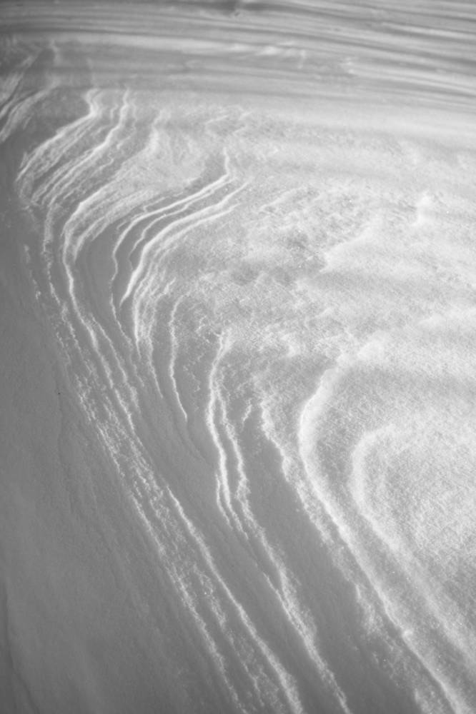 Фотография автора Светлана Алехина