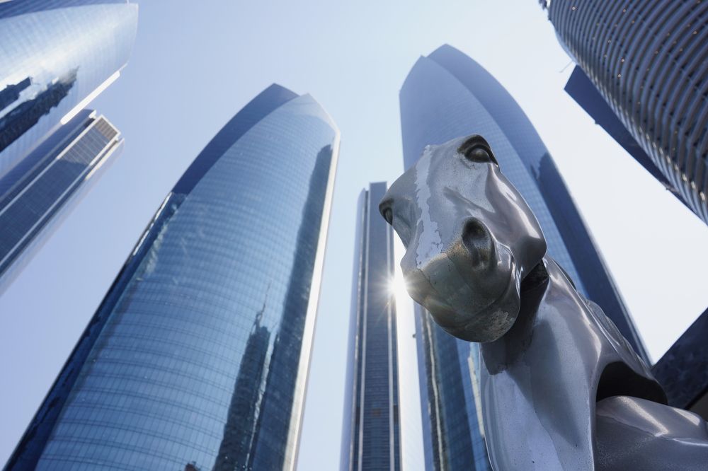 Каменные джунгли и железные кони