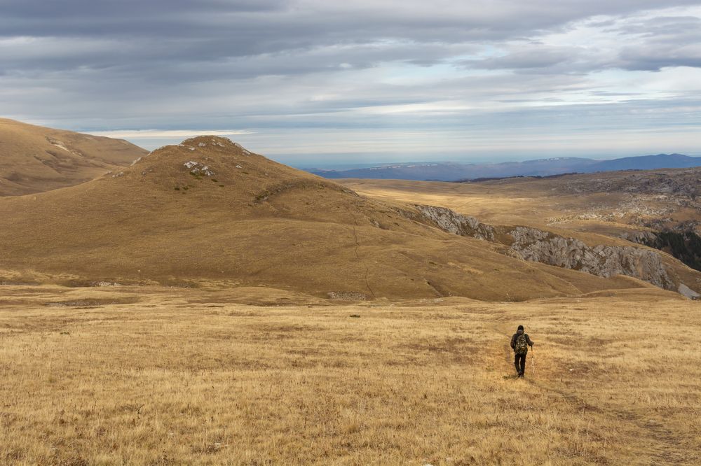 Photograph by Елена Плотникова