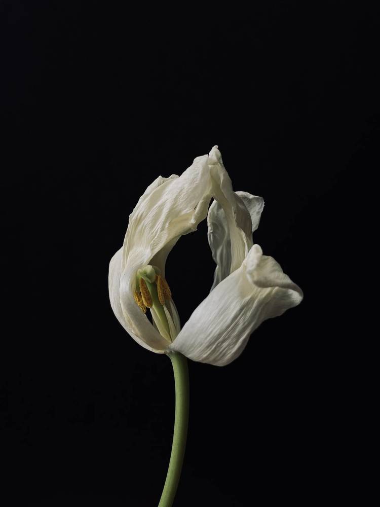 Photograph by Екатерина Кузнецова