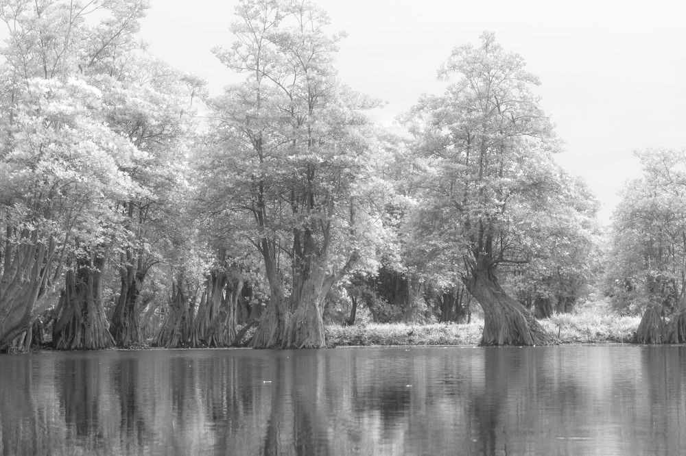 Photograph by  rahmad himawan