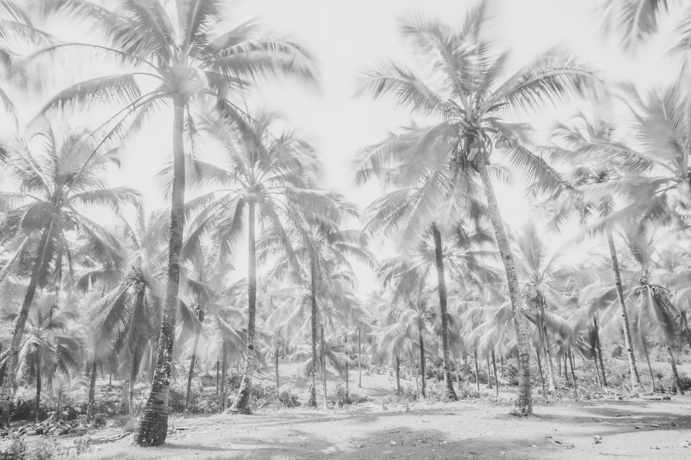 Photograph by  rahmad himawan