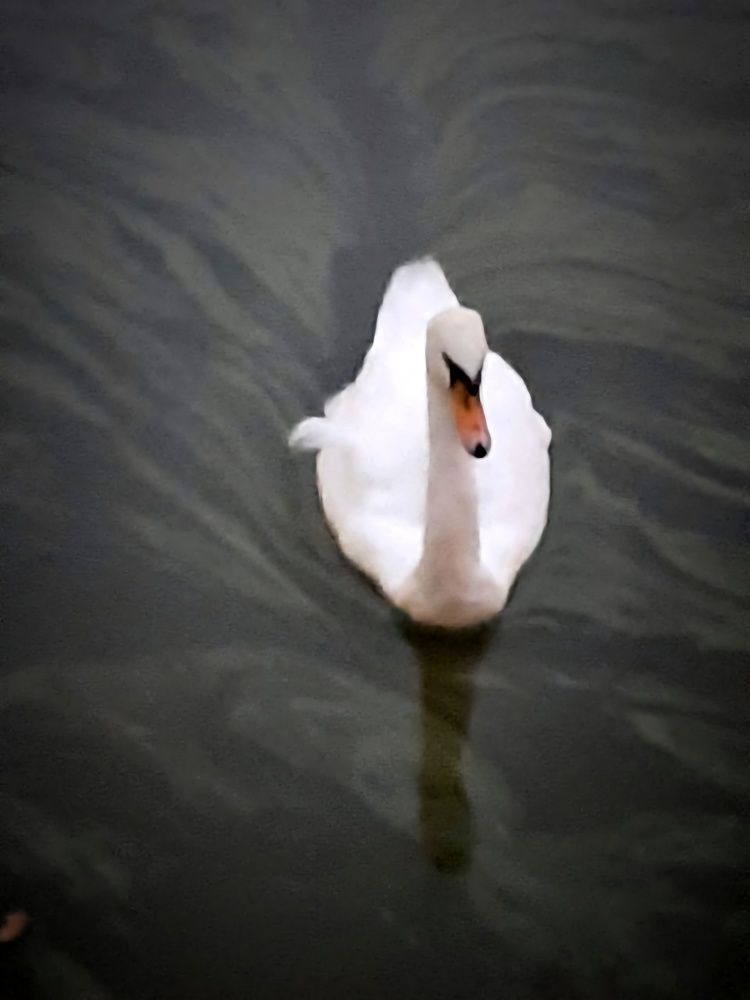 Photograph by Максим Иванов