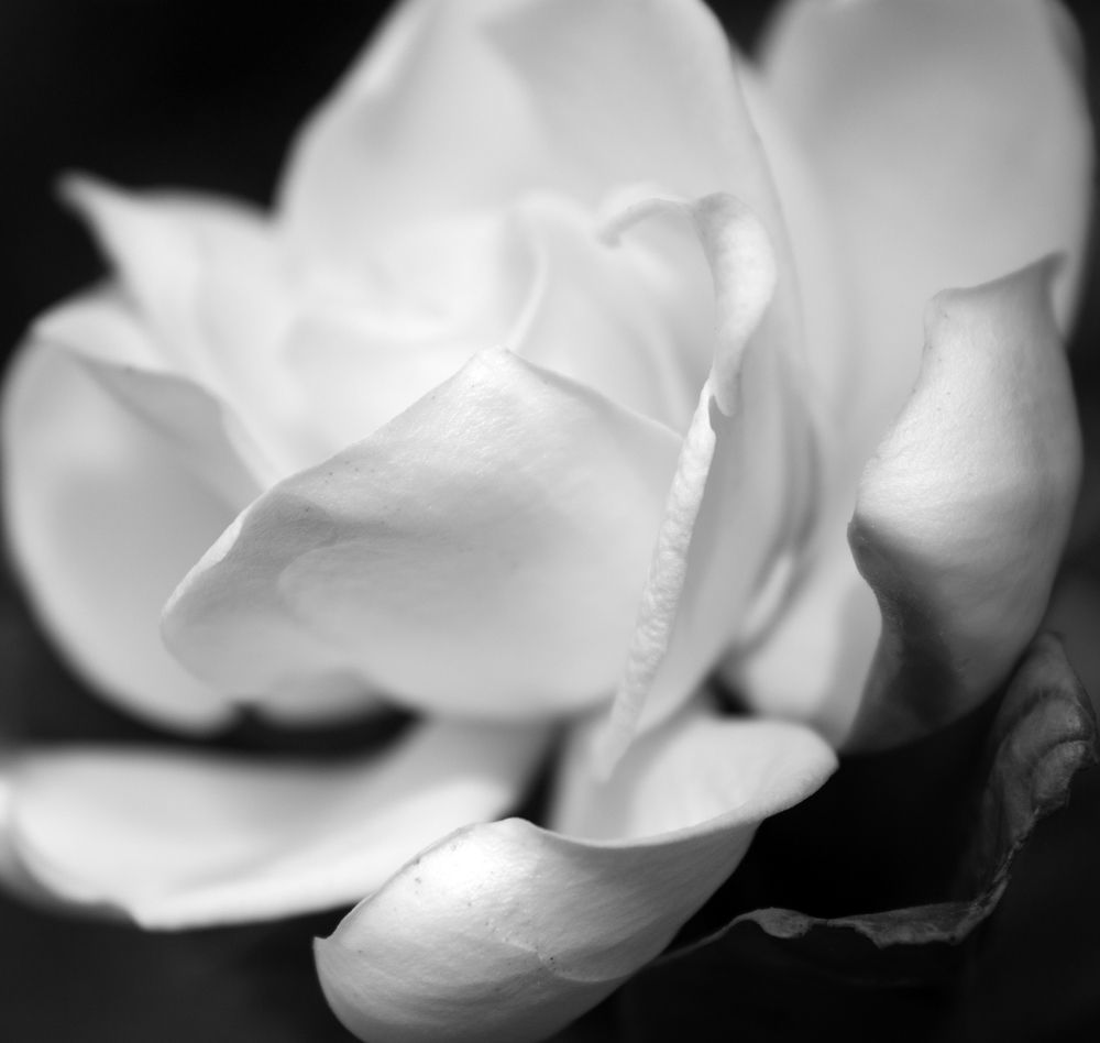 Photograph by Екатерина Кузнецова