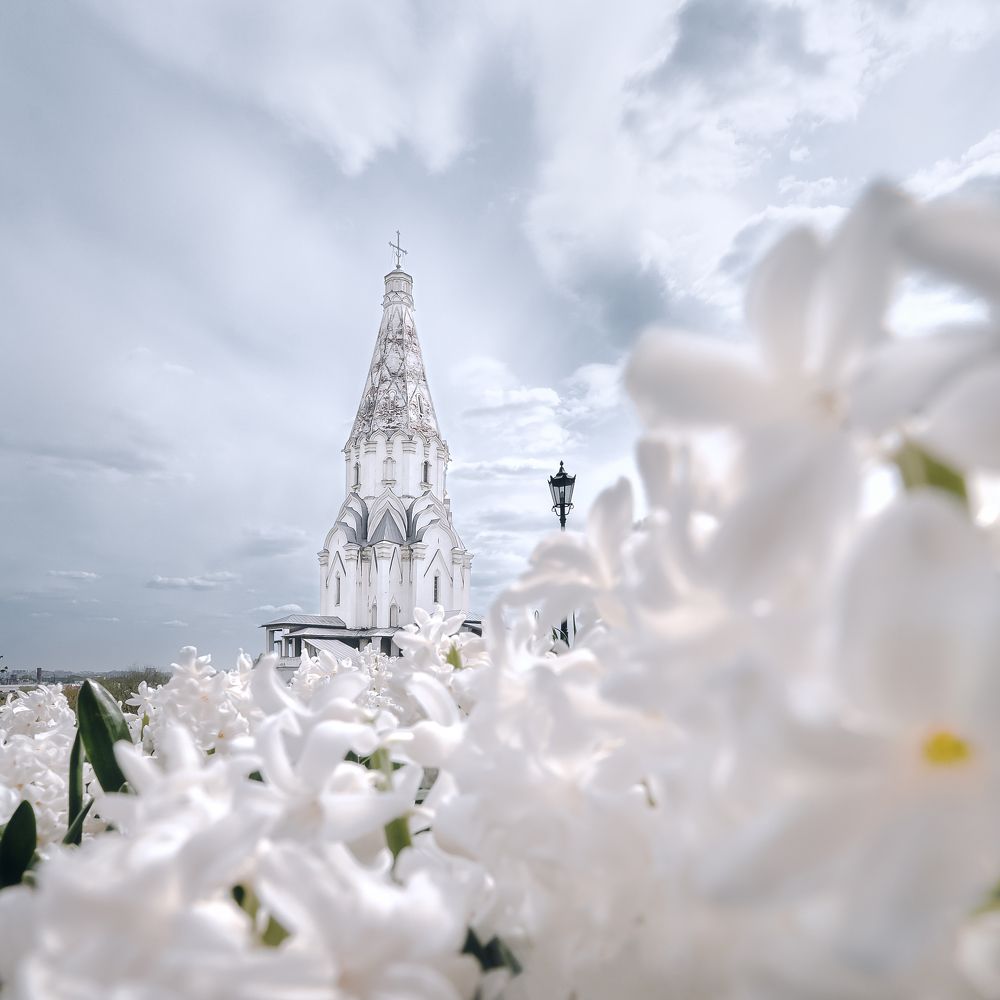 Фотография автора Анастасия Мазурева