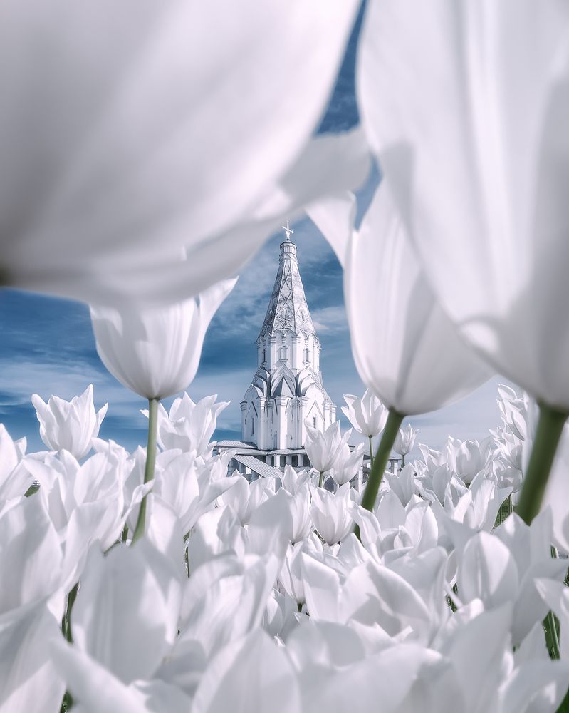 Фотография автора Анастасия Мазурева