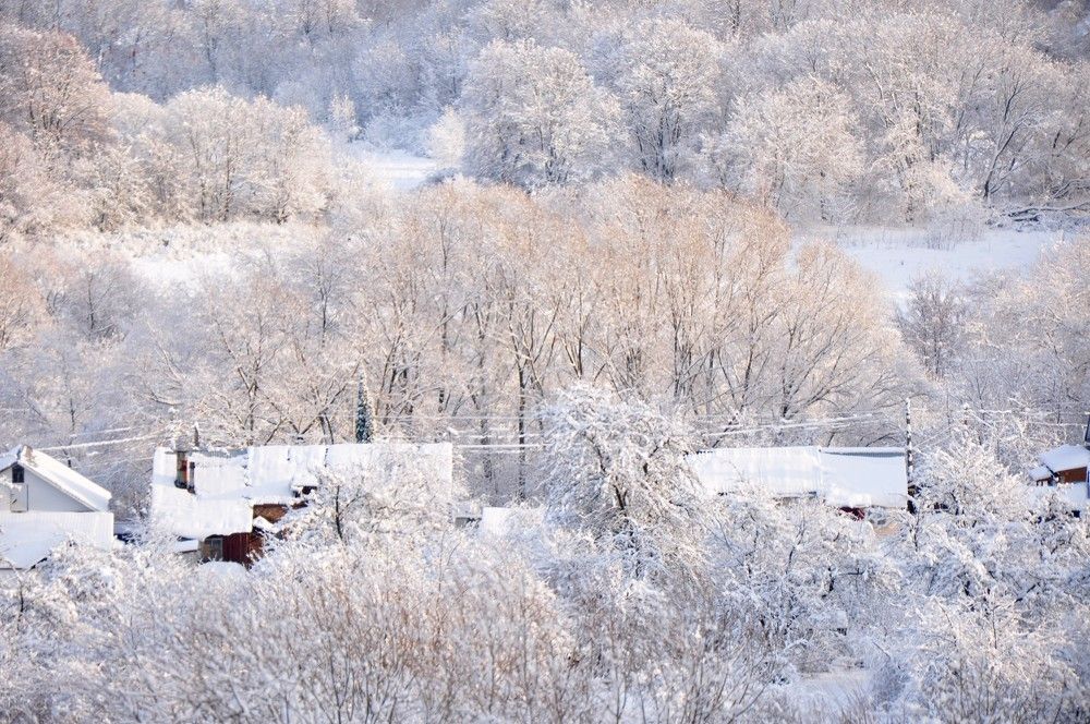 Photograph by Надежда Рудакова