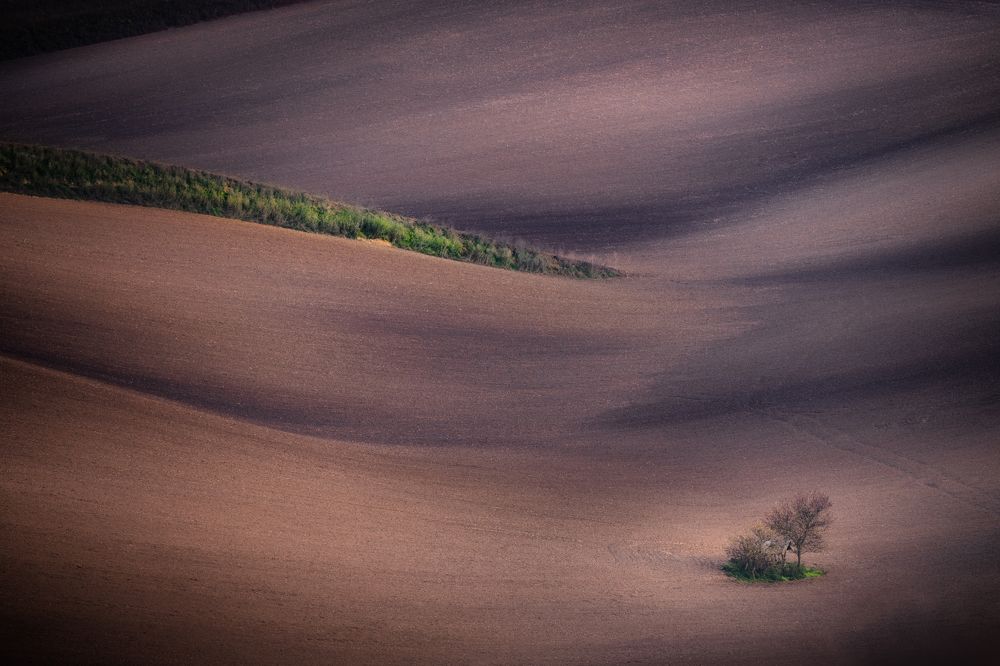 Photograph by Георгий Бычковский