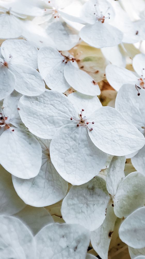 Photograph by Екатерина Никитина