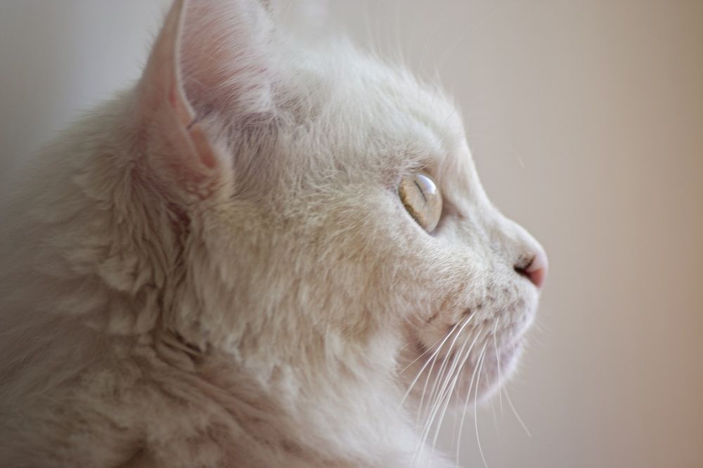 Photograph by Fedorov Denis