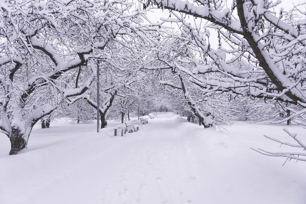 Фотография автора Анастасия Мазурева