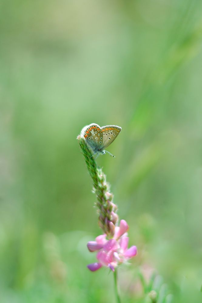 Photograph by ali bakhshi