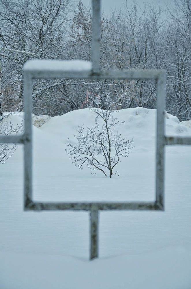 Photograph by Ольга Семенова