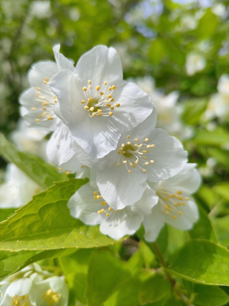 Photograph by Татьяна