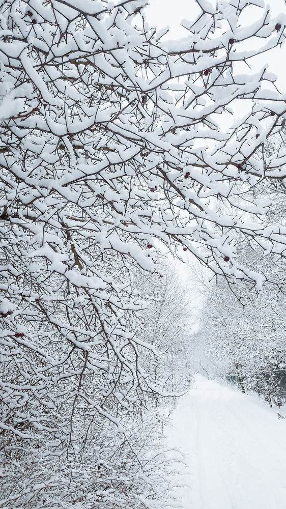 Photograph by Екатерина Никитина