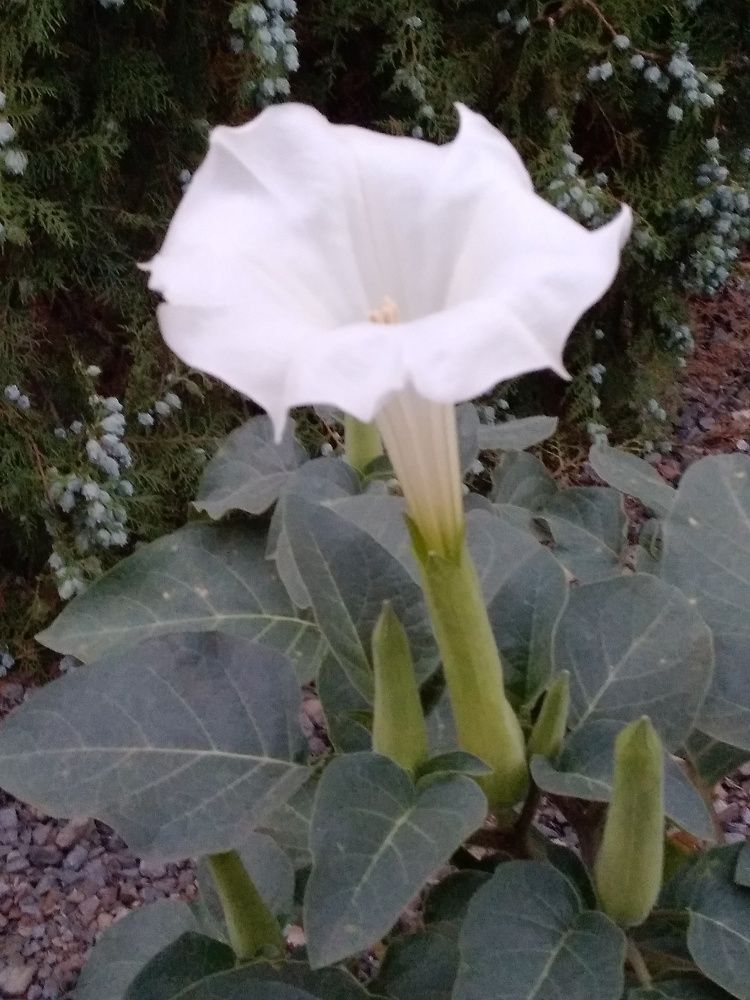 Photograph by Марта Васильева