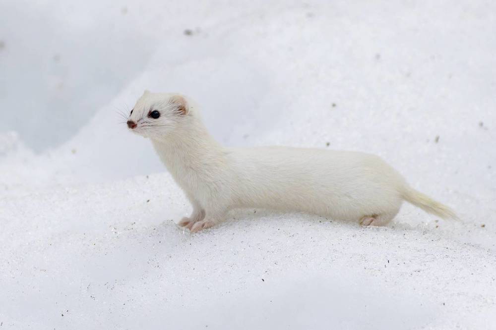 Photograph by Вера Машина