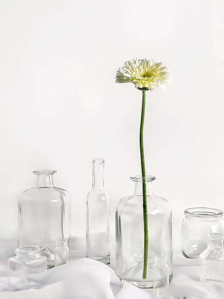 Фотография автора Татьяна Шахова