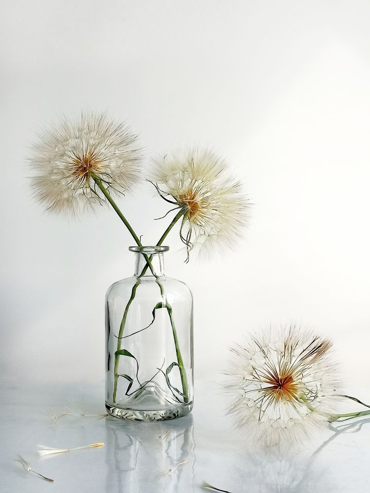 Фотография автора Татьяна Шахова