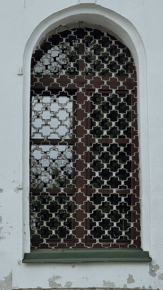 Фотография автора Светлана Алексеева