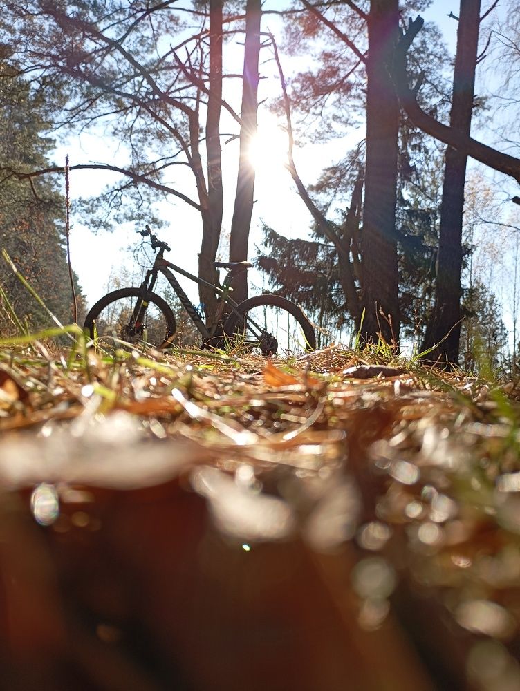 Photo #11378228
