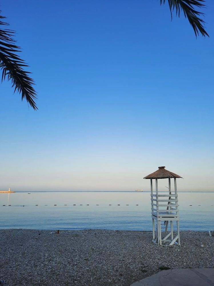 Фотография автора JELENA VASIC