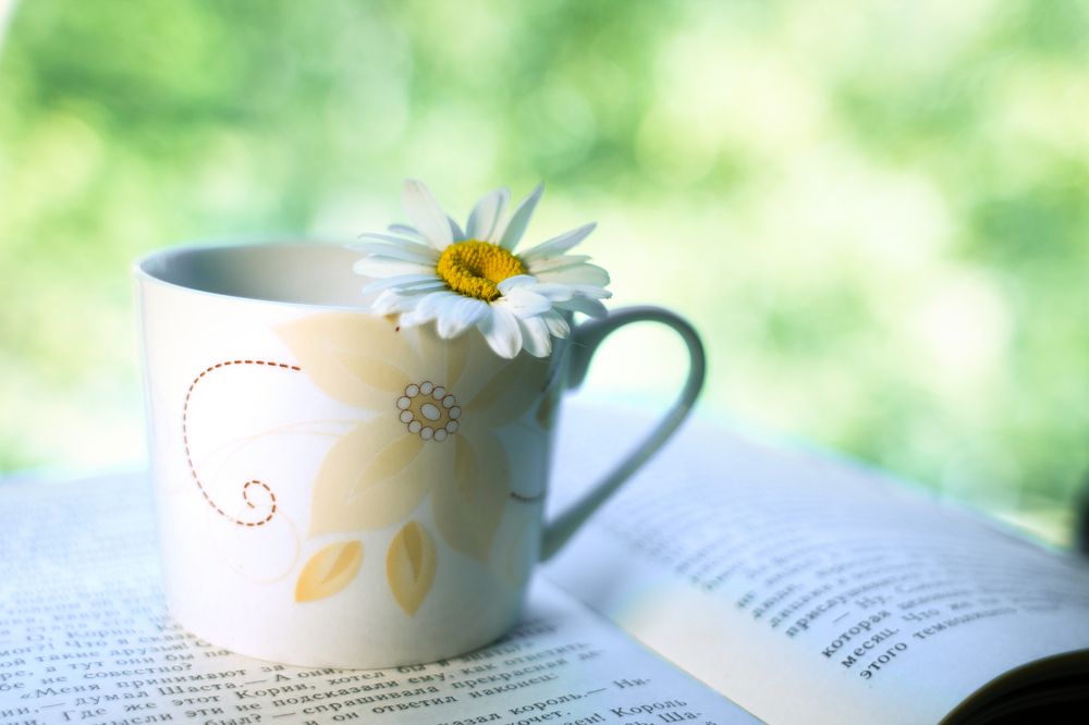 Photograph by Дарья Улюсова