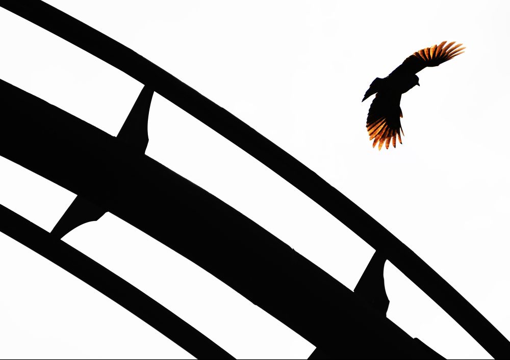 Photograph by Рыжков Роман