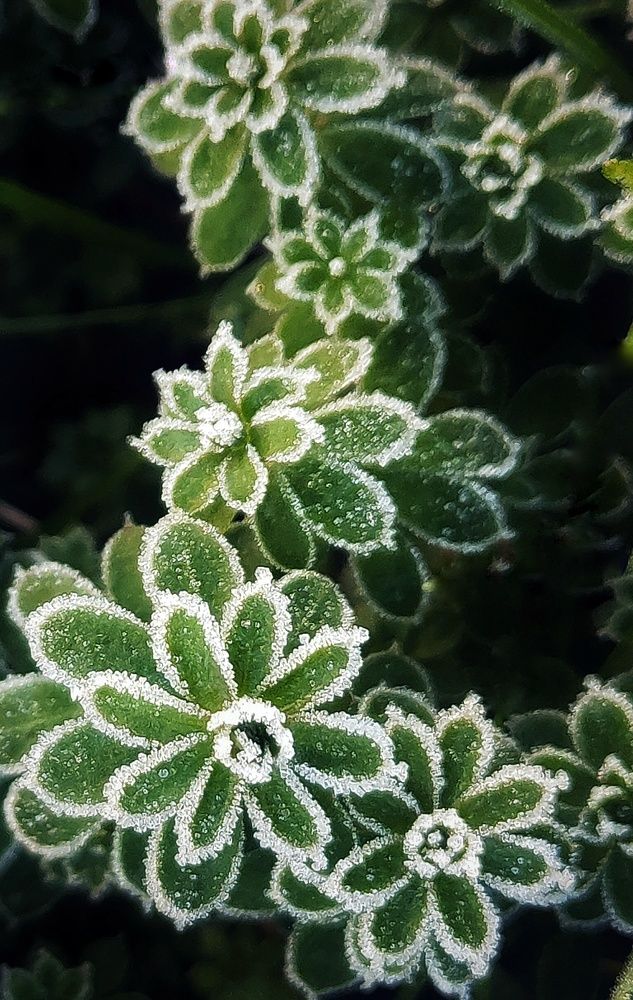 Photograph by Natalia Bolotenkova