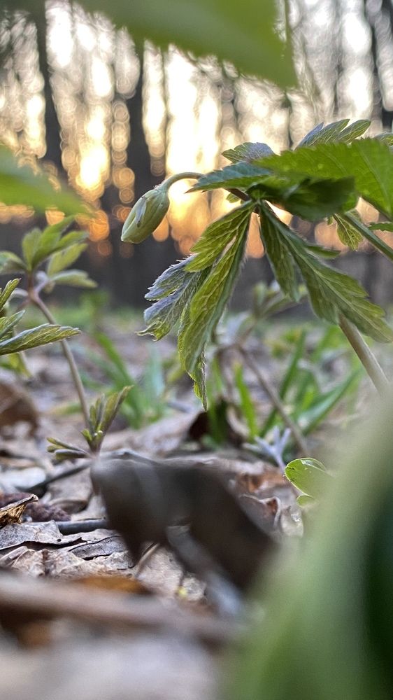 Photograph by Анна Кулакова