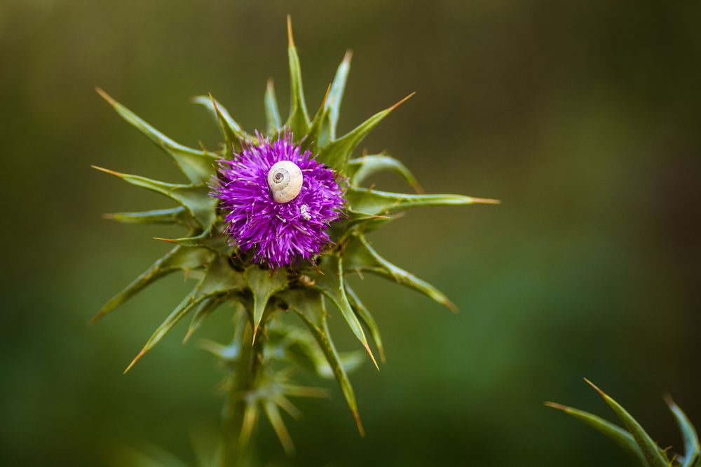 Photograph by mohamed