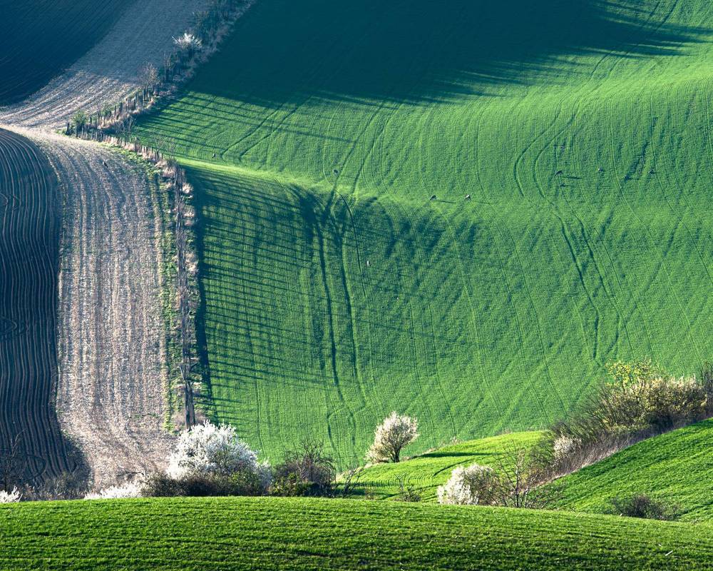 Photograph by ПАВЕЛ