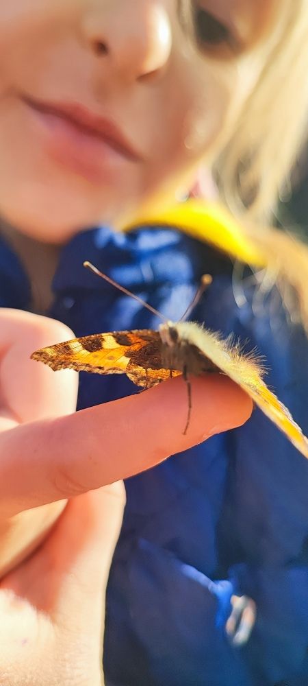 Photograph by Екатерина Александровна