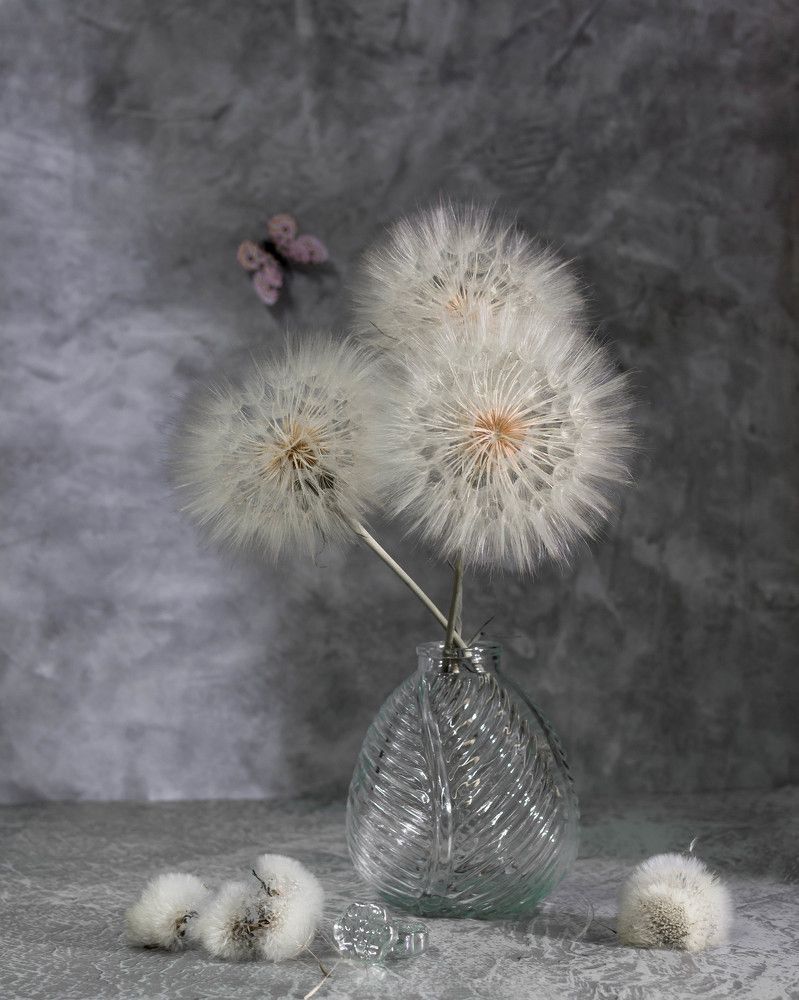 Photograph by Людмила Прибылова