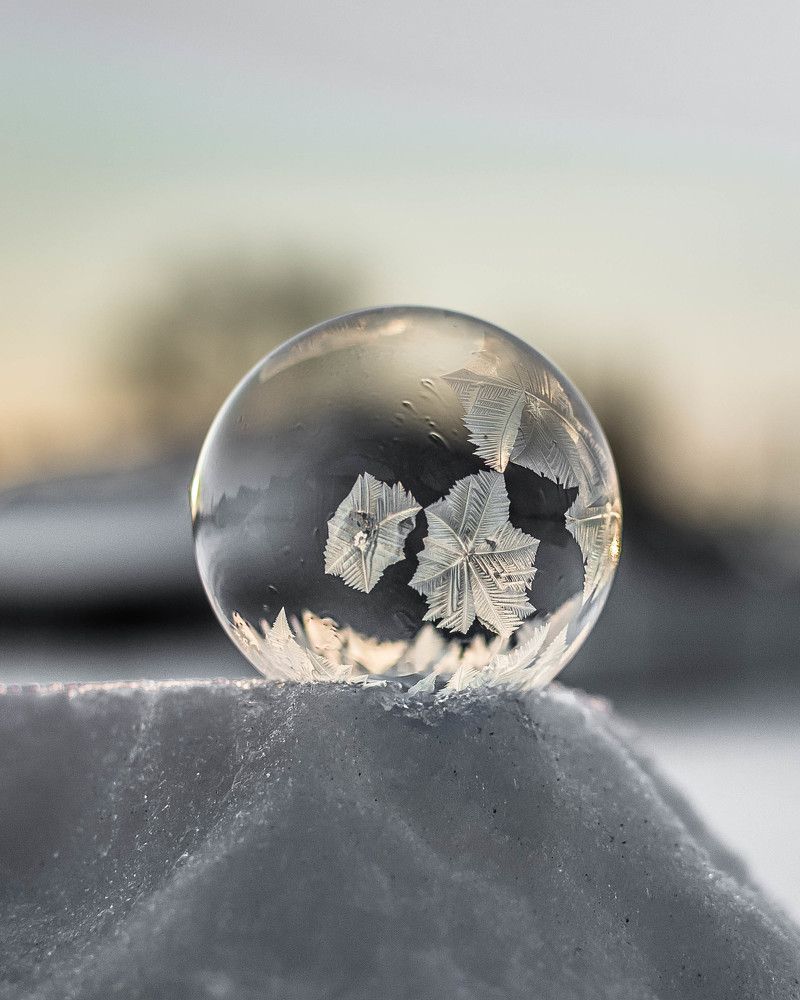 Photograph by Людмила Прибылова