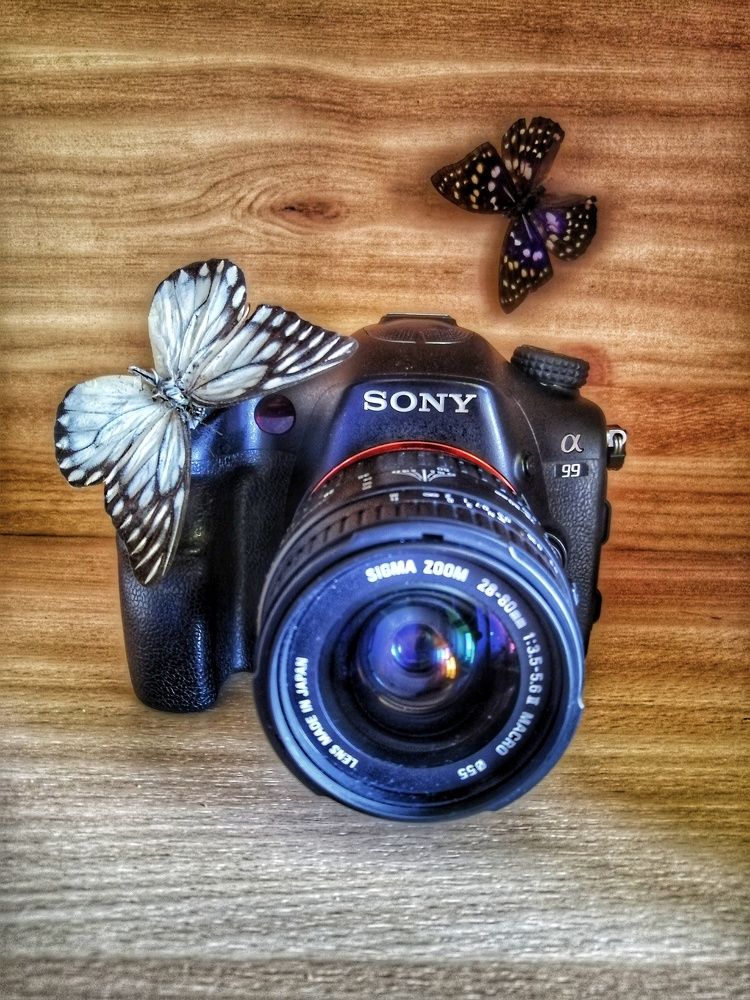 Фотография автора НАТАЛЬЯ СЕВЕР