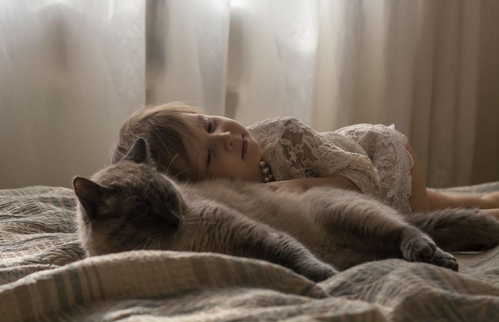 Photograph by Елена Плотникова