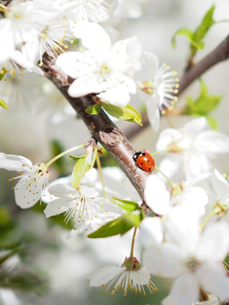 Photograph by Екатерина Бердутина