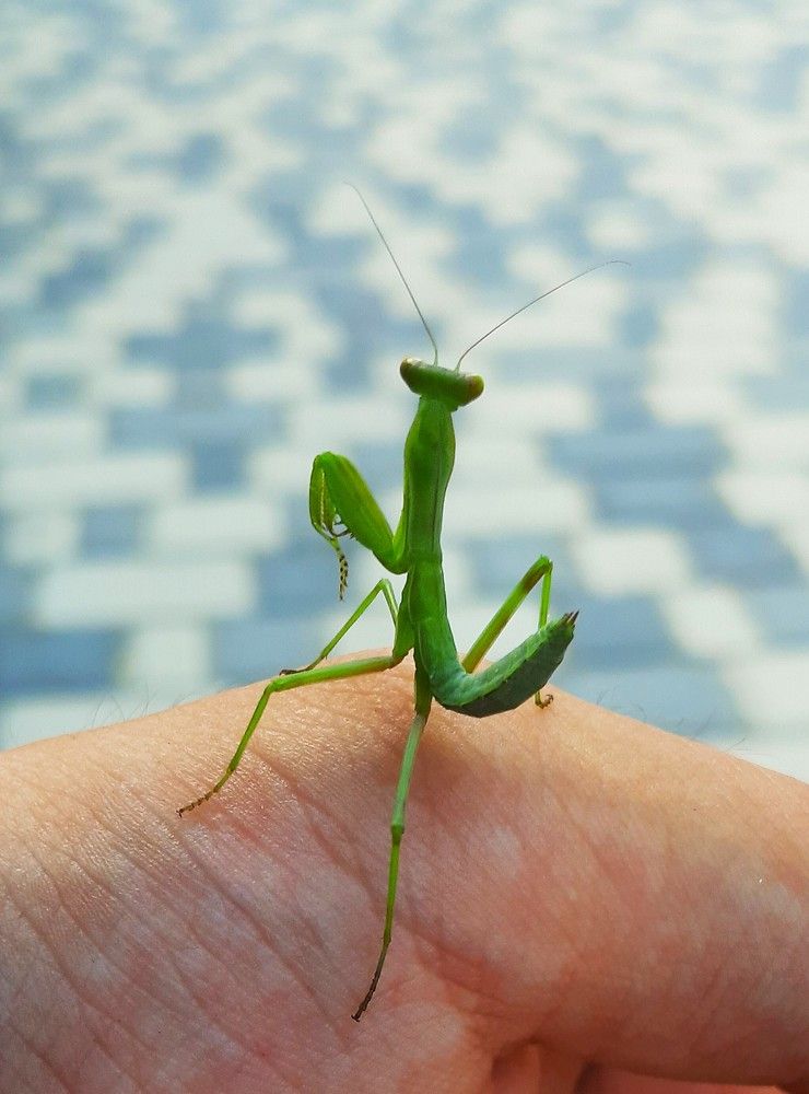 Photograph by Галина Глазкова