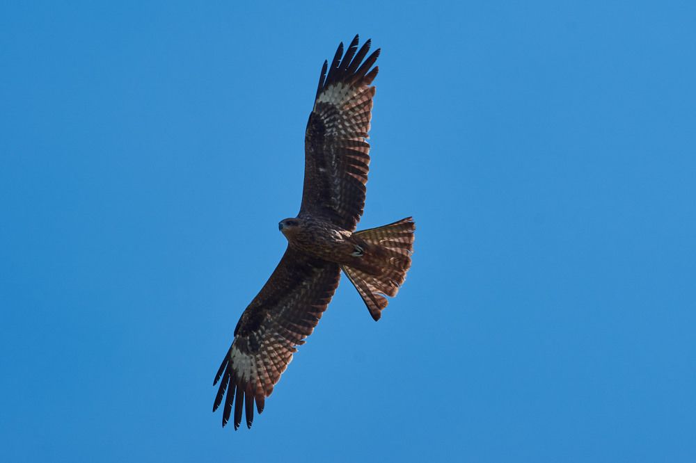 Photograph by Павел Сторчилов