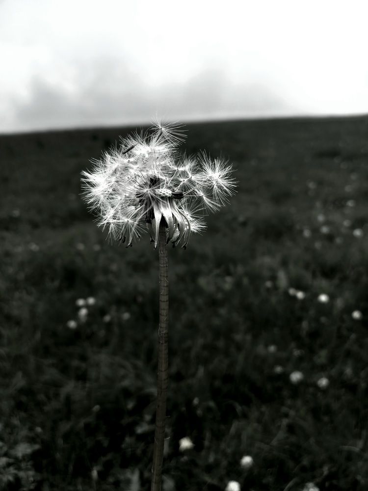 Photograph by Наталья Покрепина