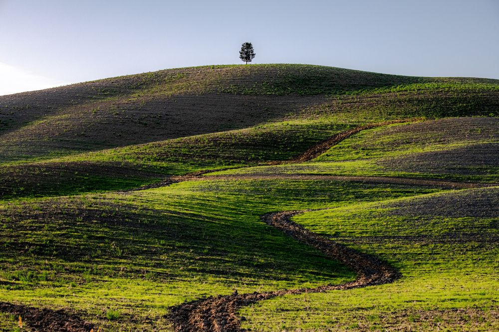 Photograph by ПАВЕЛ