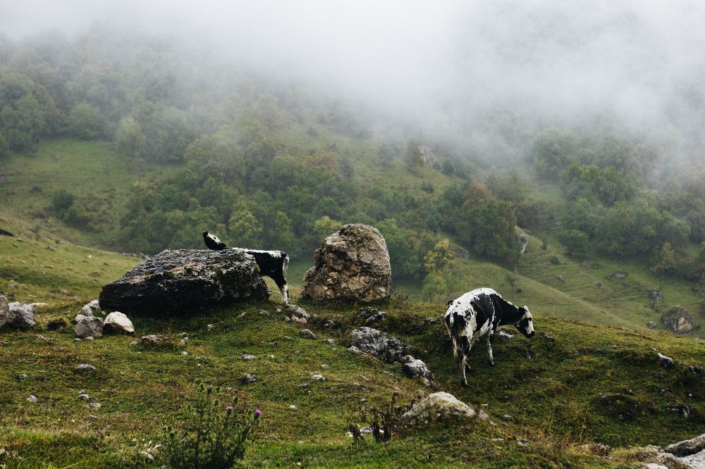 Photograph by Юлия Осипова