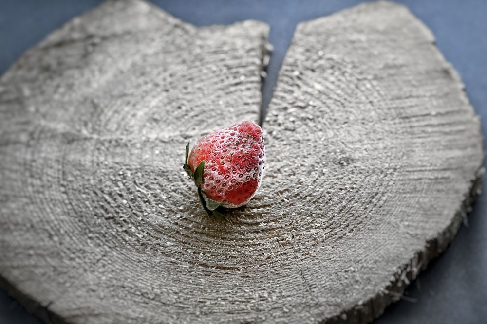 Photograph by Pavel Statsenko